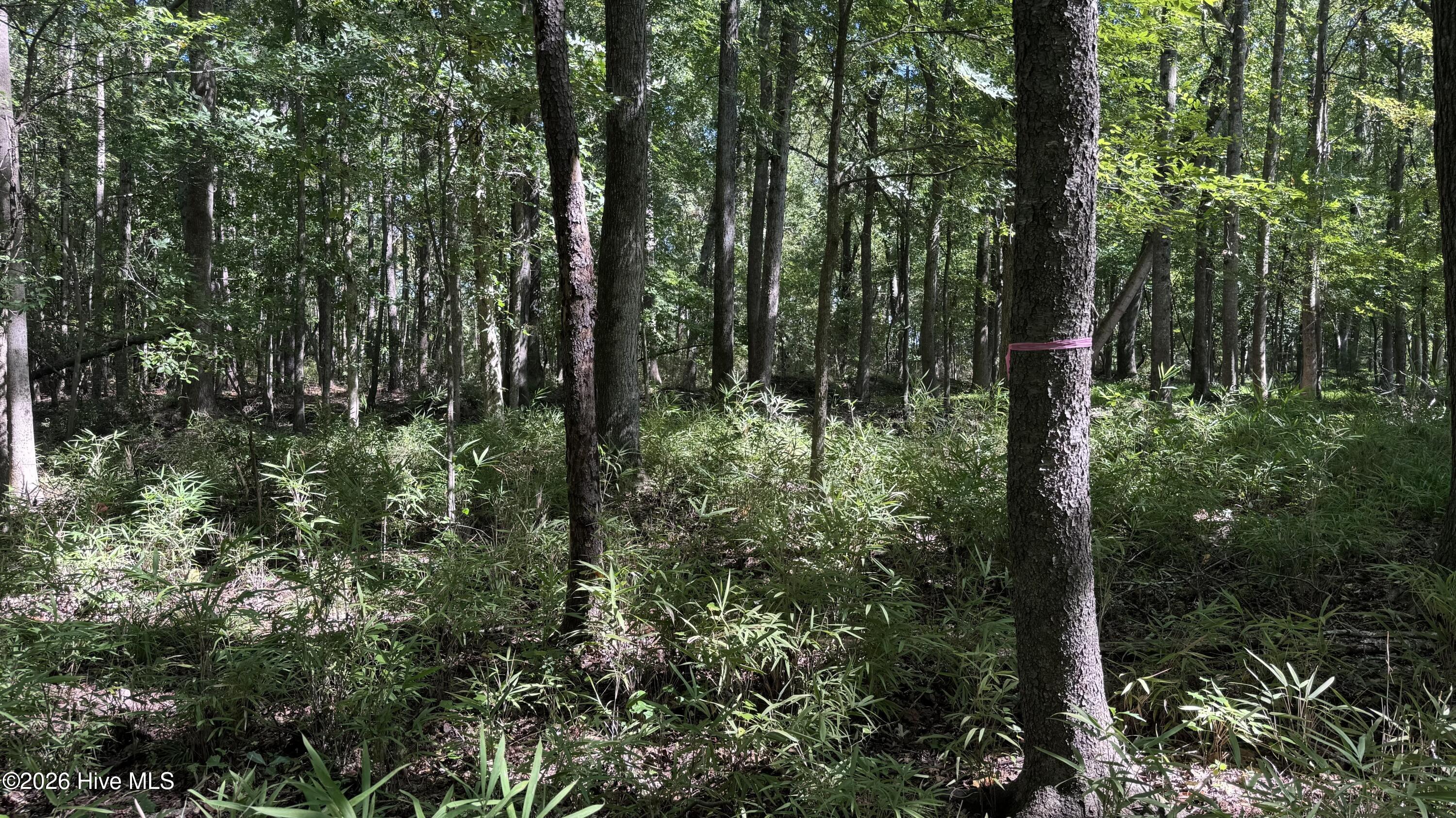 6033 Homestead Road Property Photo 34