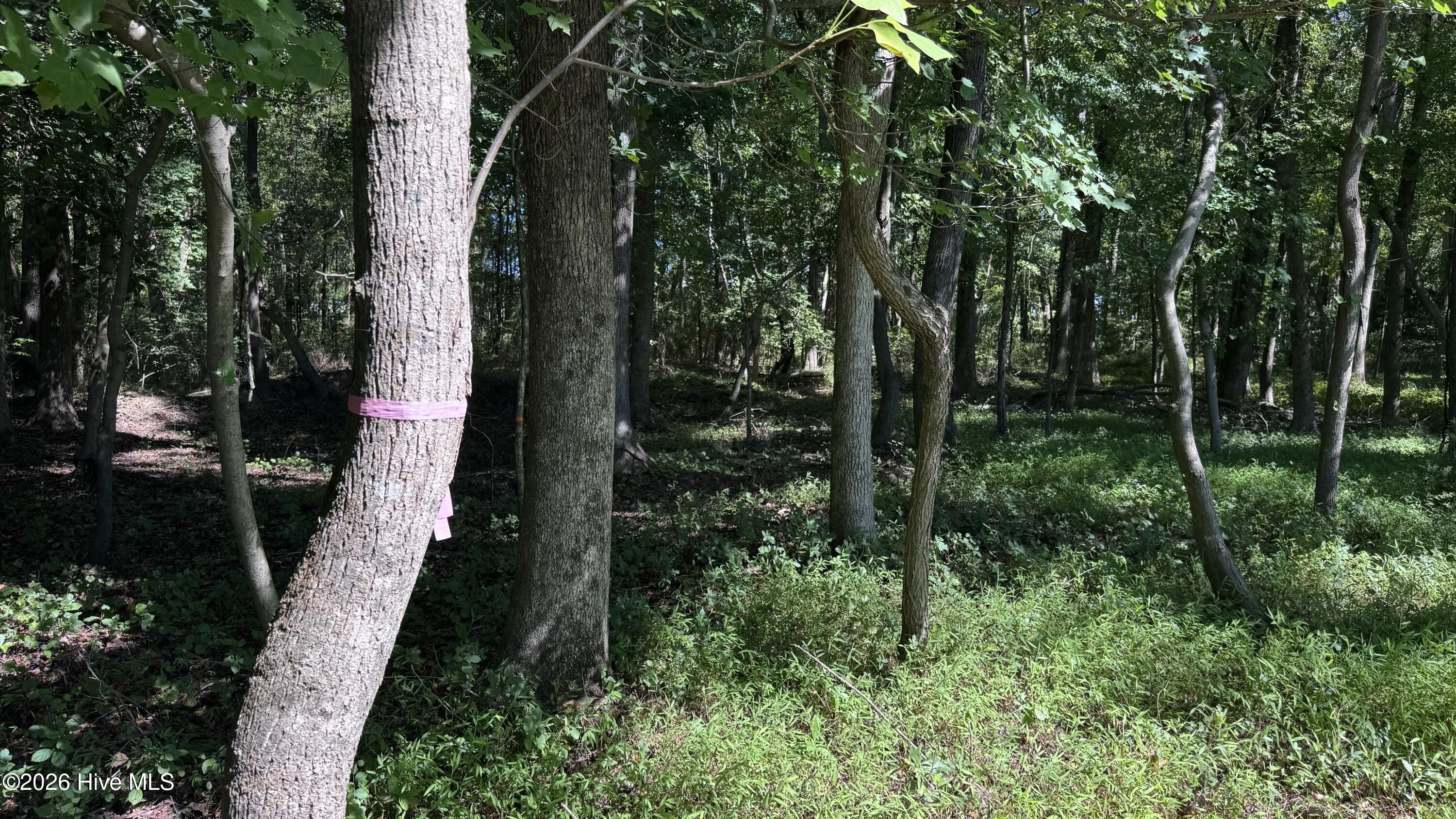 6033 Homestead Road Property Photo 37