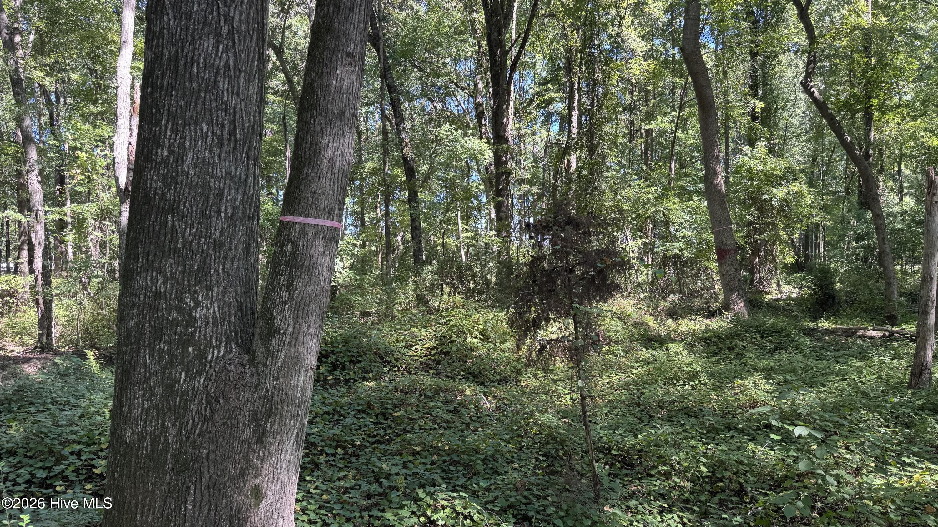 6033 Homestead Road Property Photo 38