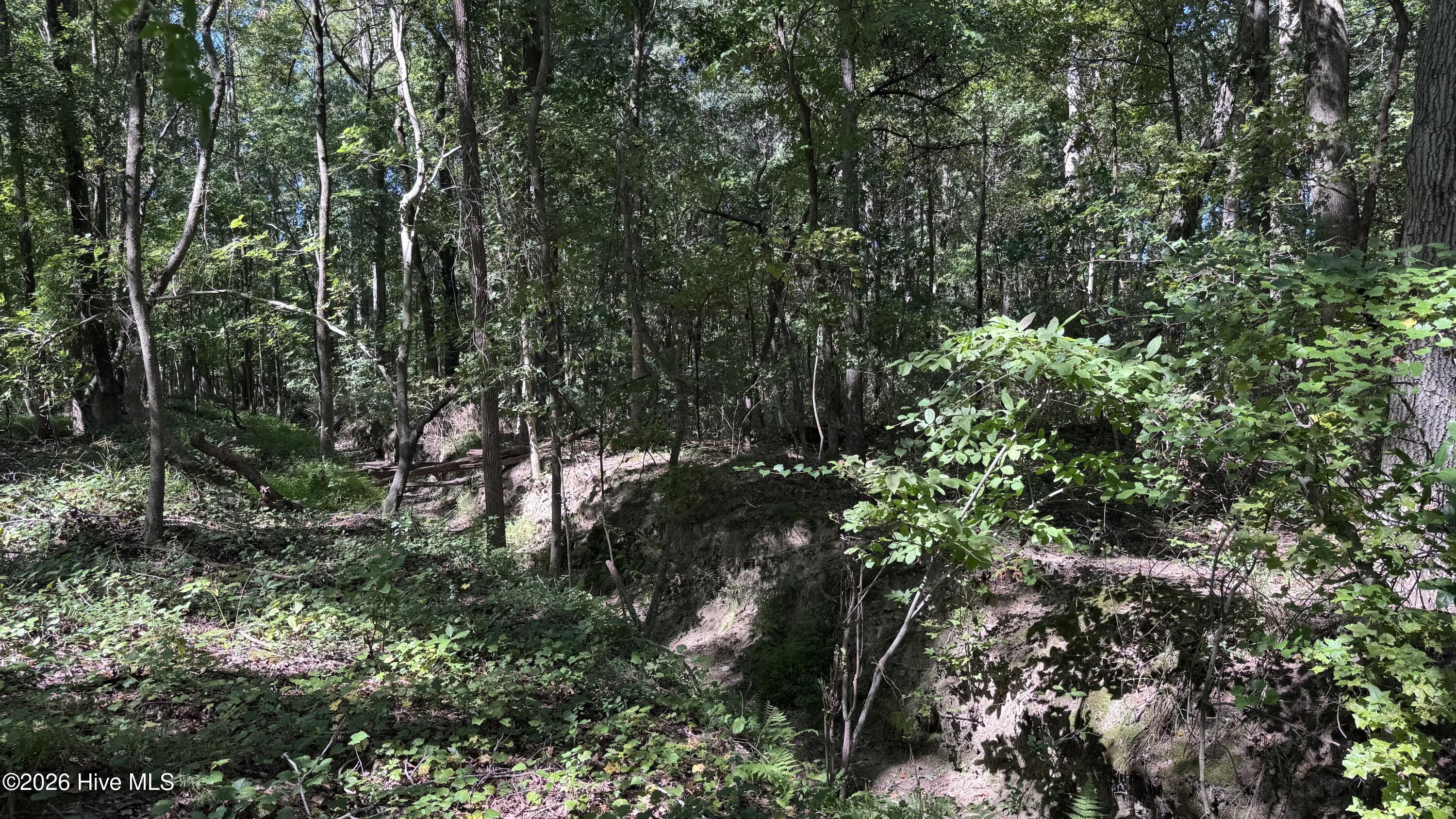 6033 Homestead Road Property Photo 39