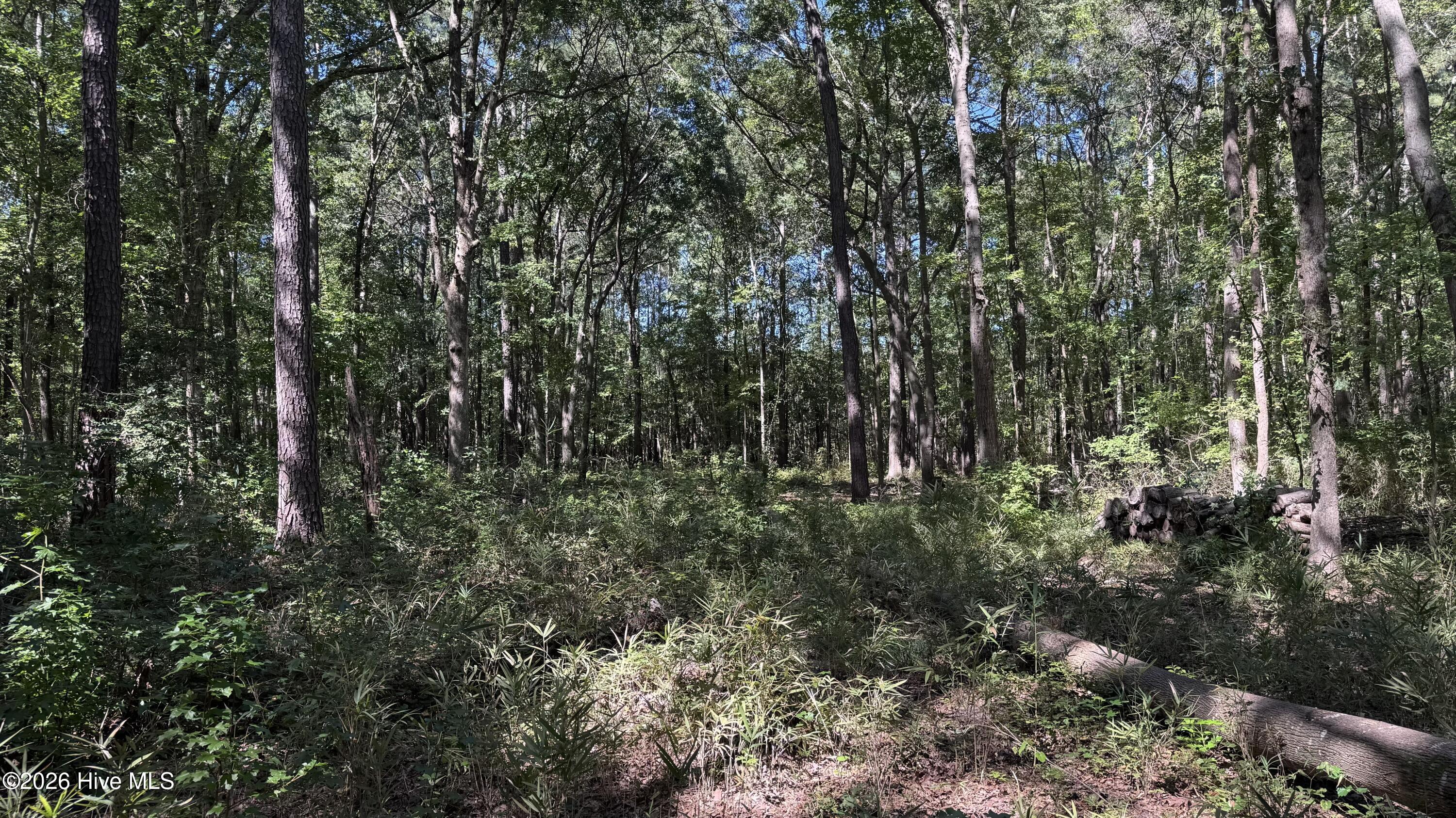 6033 Homestead Road Property Photo 40