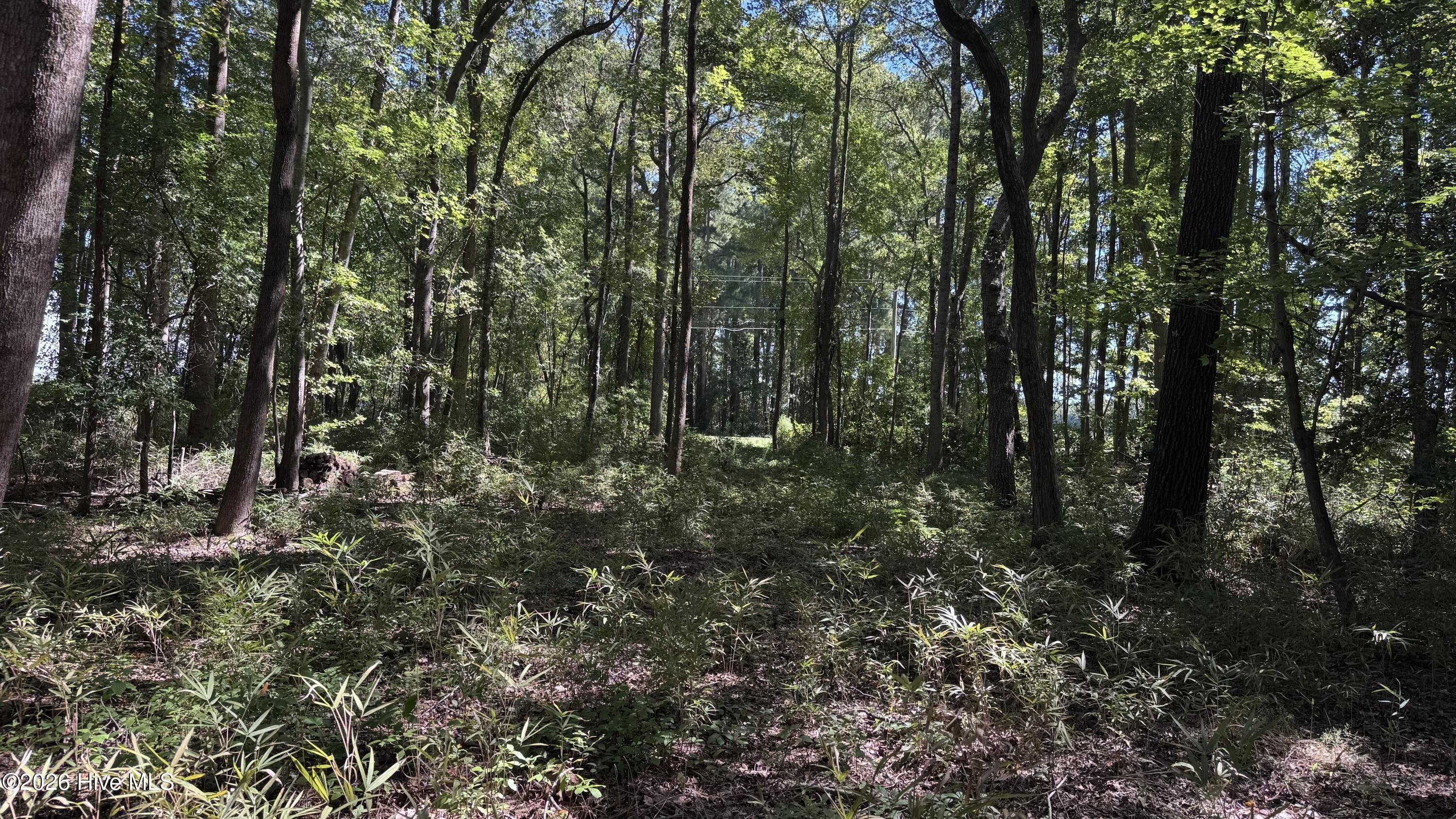 6033 Homestead Road Property Photo 41