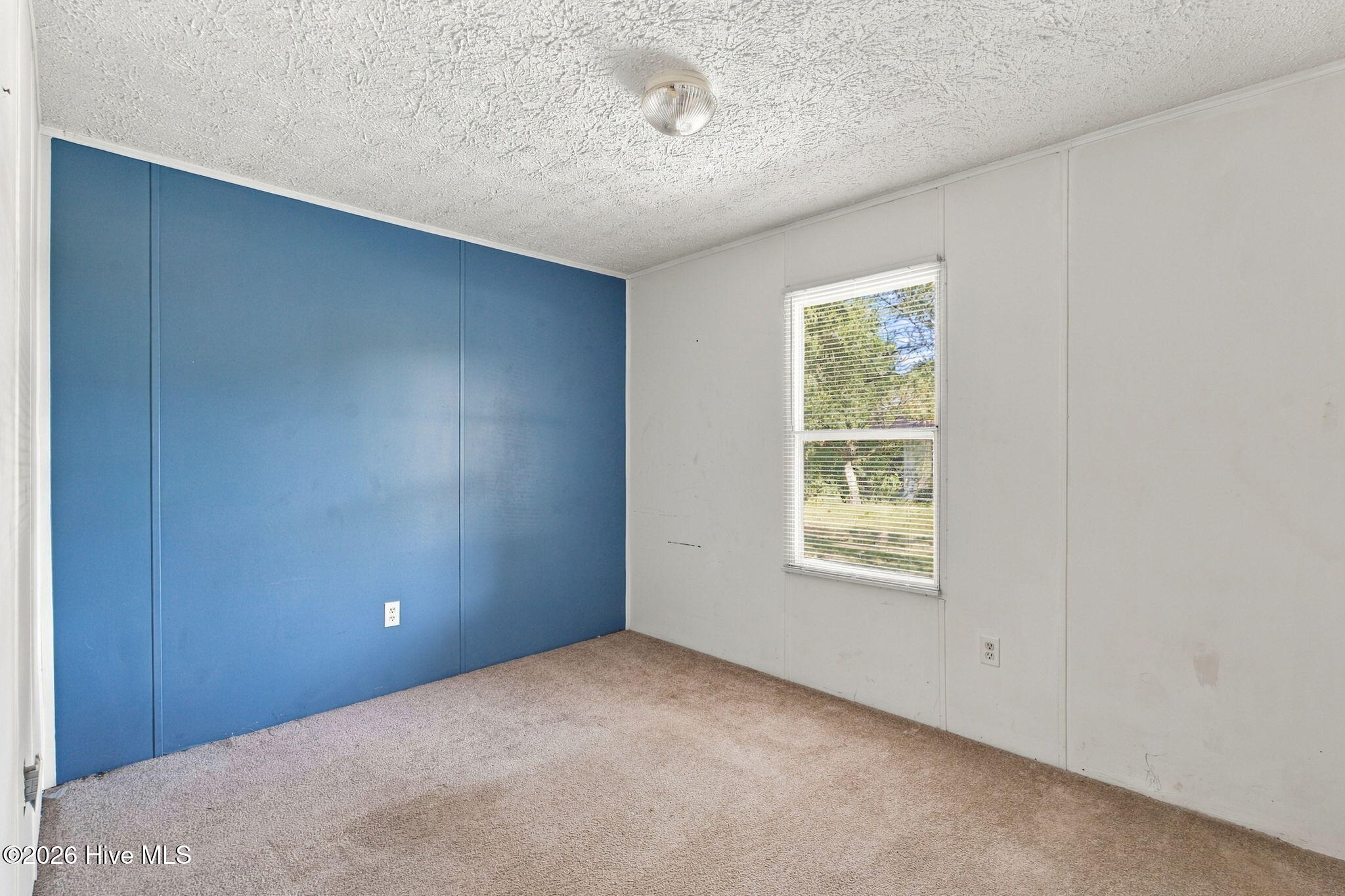8320 Bunn Road Property Photo 28