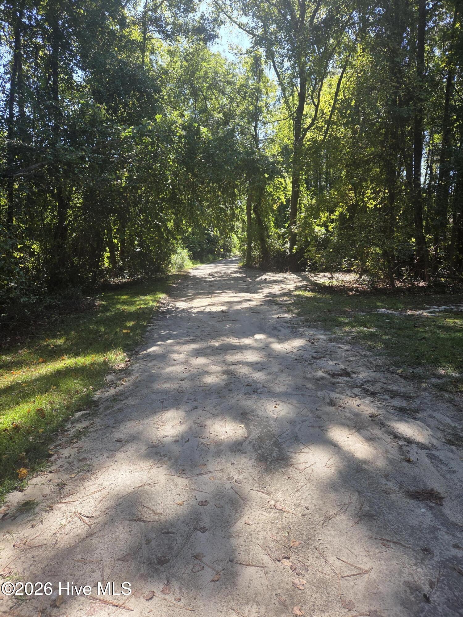 Tbd Us 1 Highway Property Photo 2