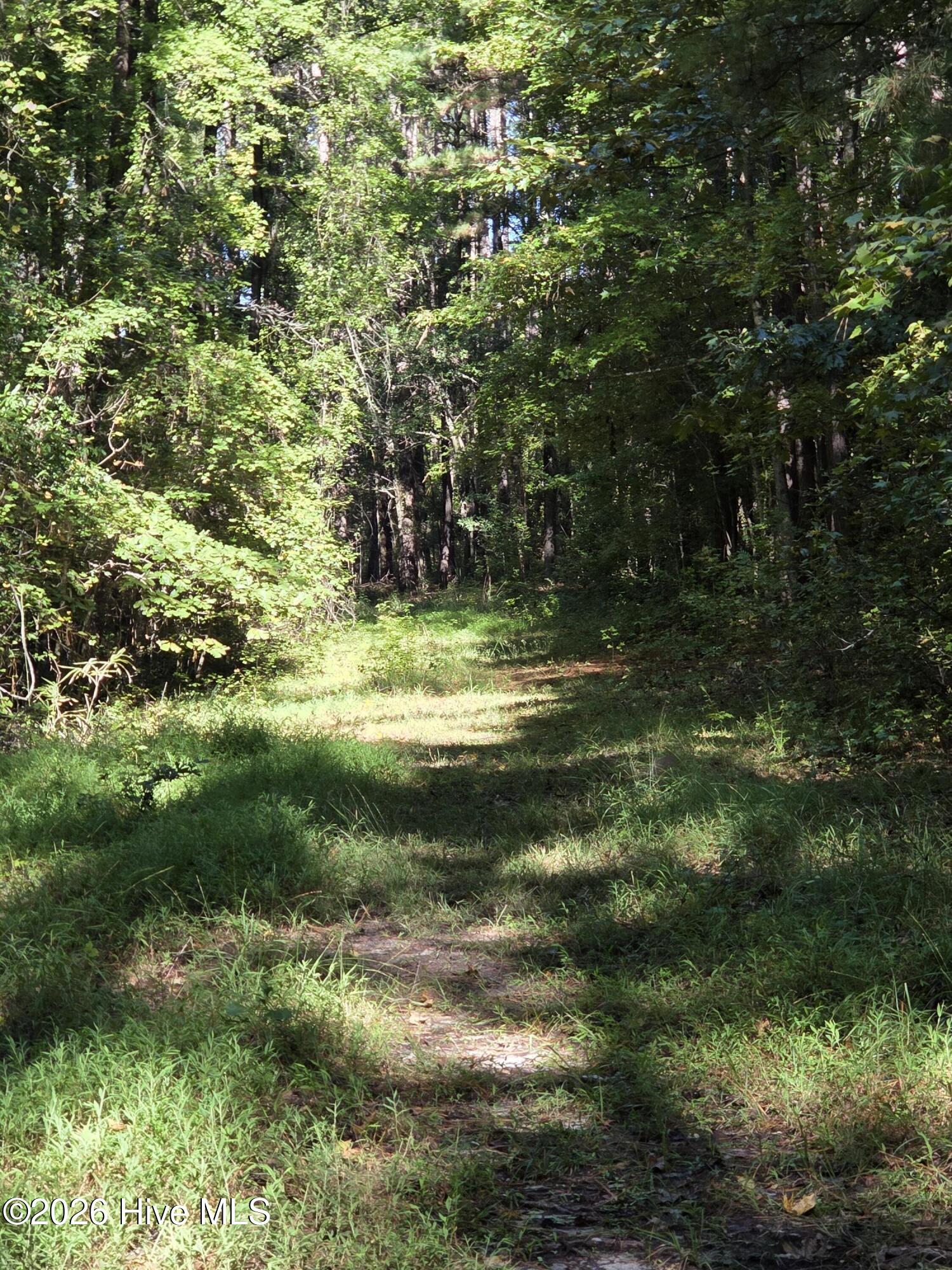 Tbd Us 1 Highway Property Photo 5