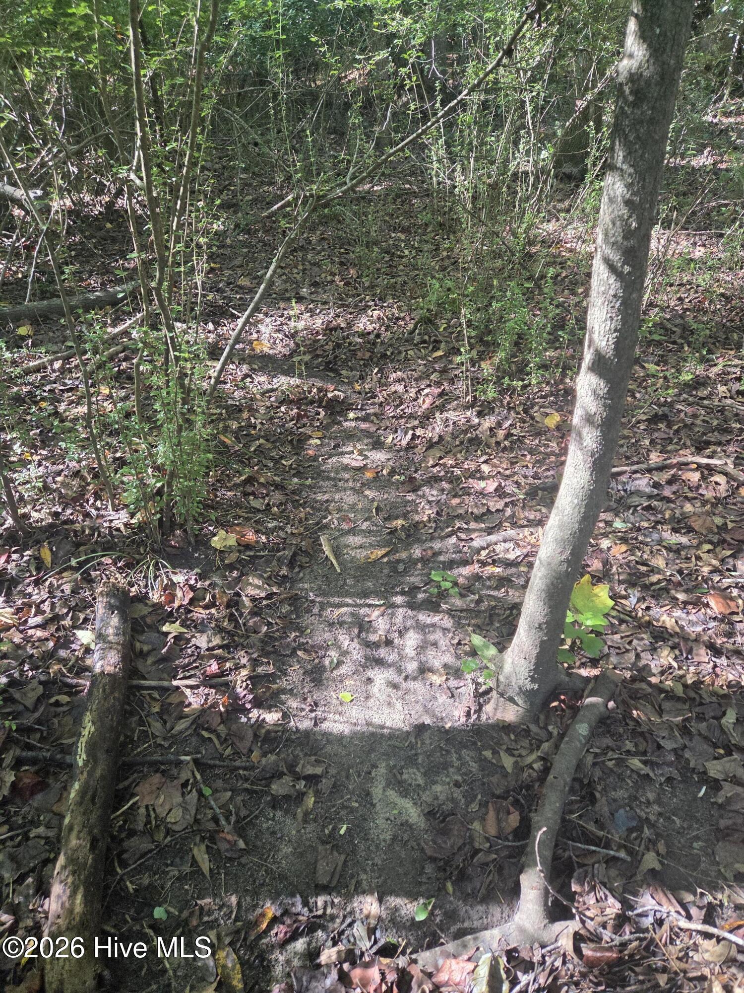 Tbd Us 1 Highway Property Photo 9
