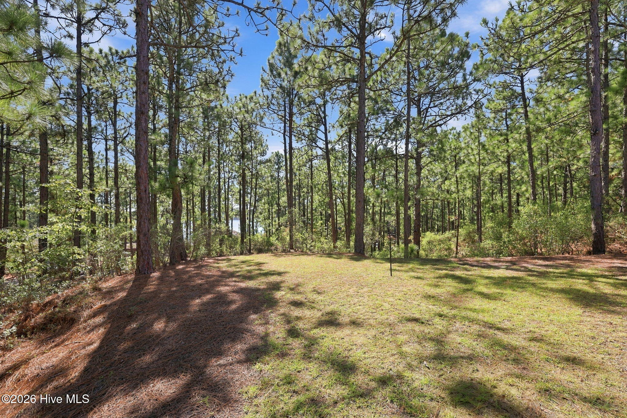 163 Otter Drive Property Photo 14