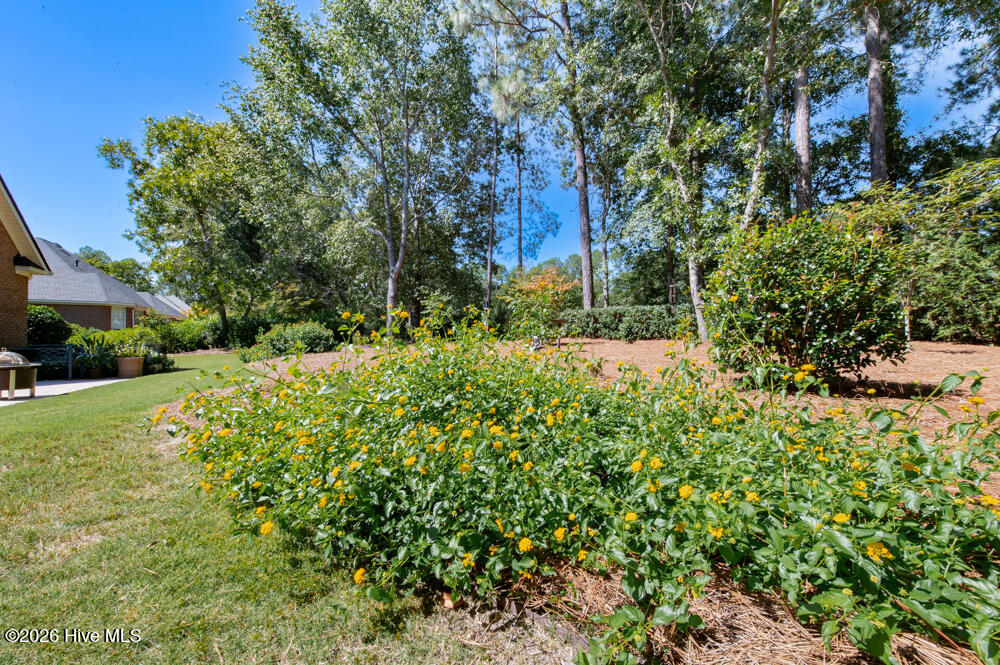 5400 Belle Mead Drive Property Photo 37