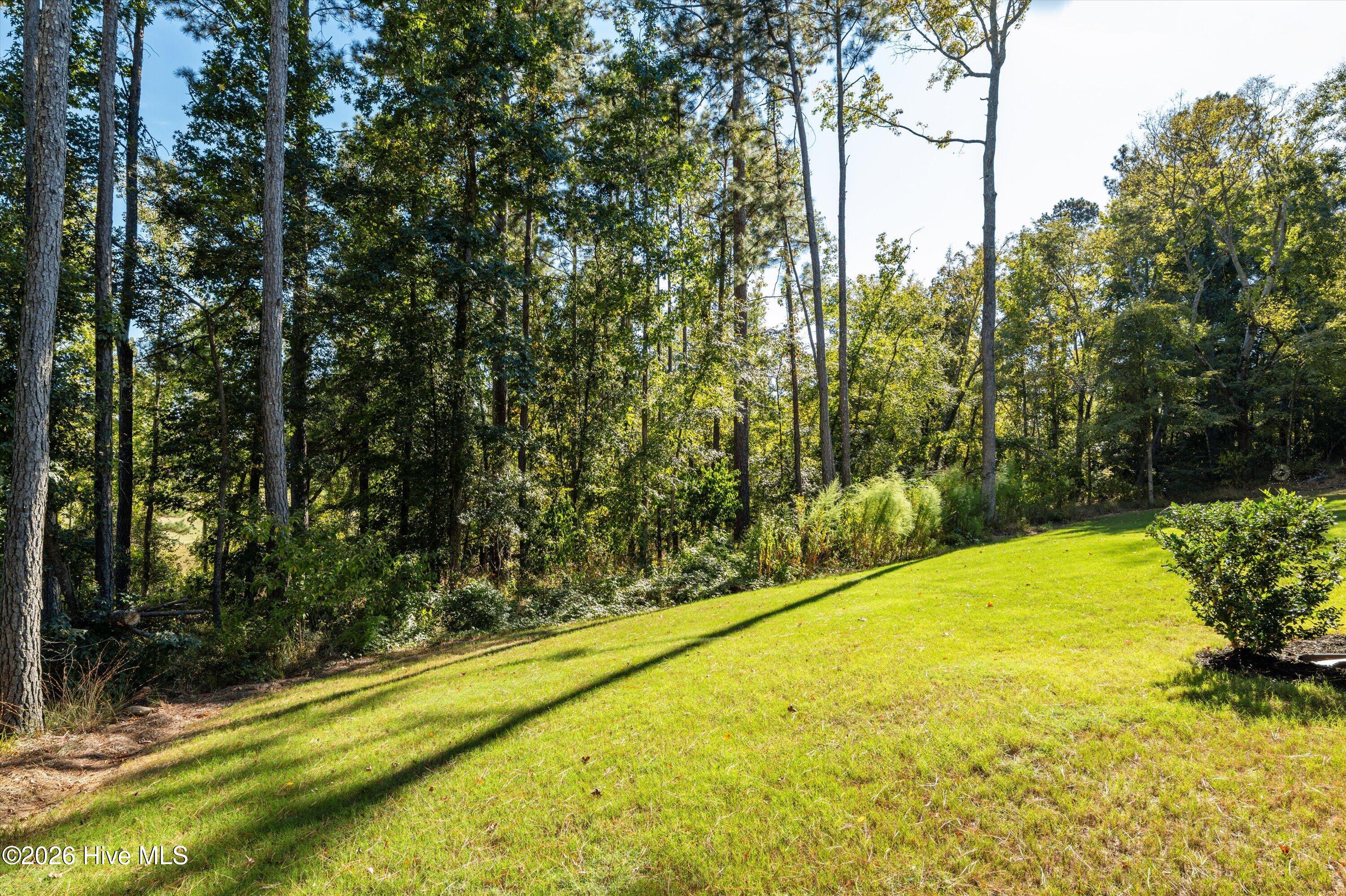 124 Captain Johnson Drive Property Photo 102