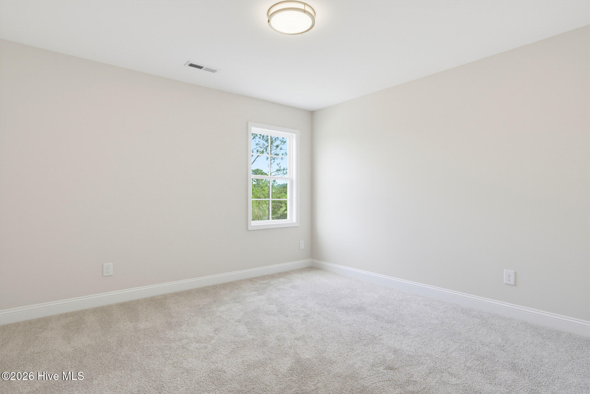 310 Coastal Reef Court Property Photo 17