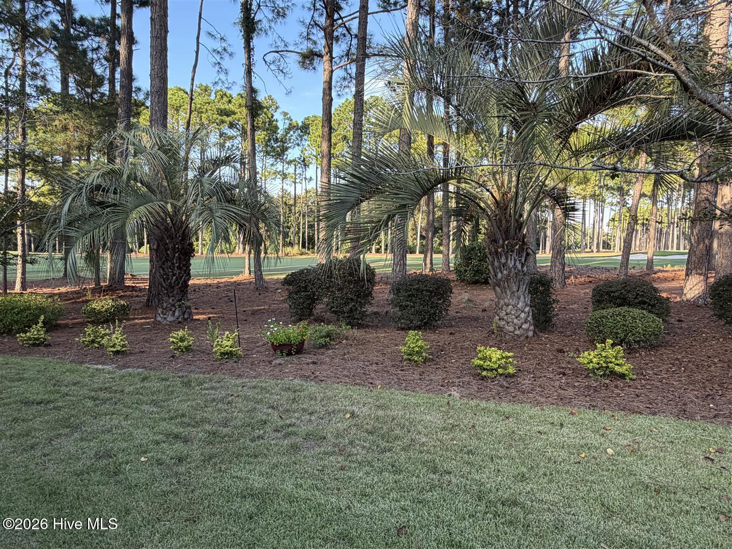 3626 Players Club Drive Se Property Photo 61
