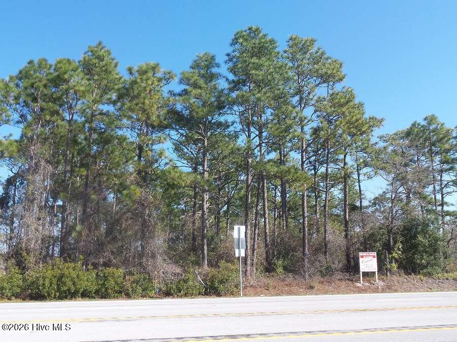 0 Nine Mile Road Property Photo 6