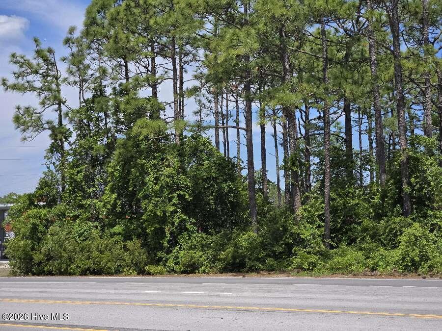 0 Nine Mile Road Property Photo 7