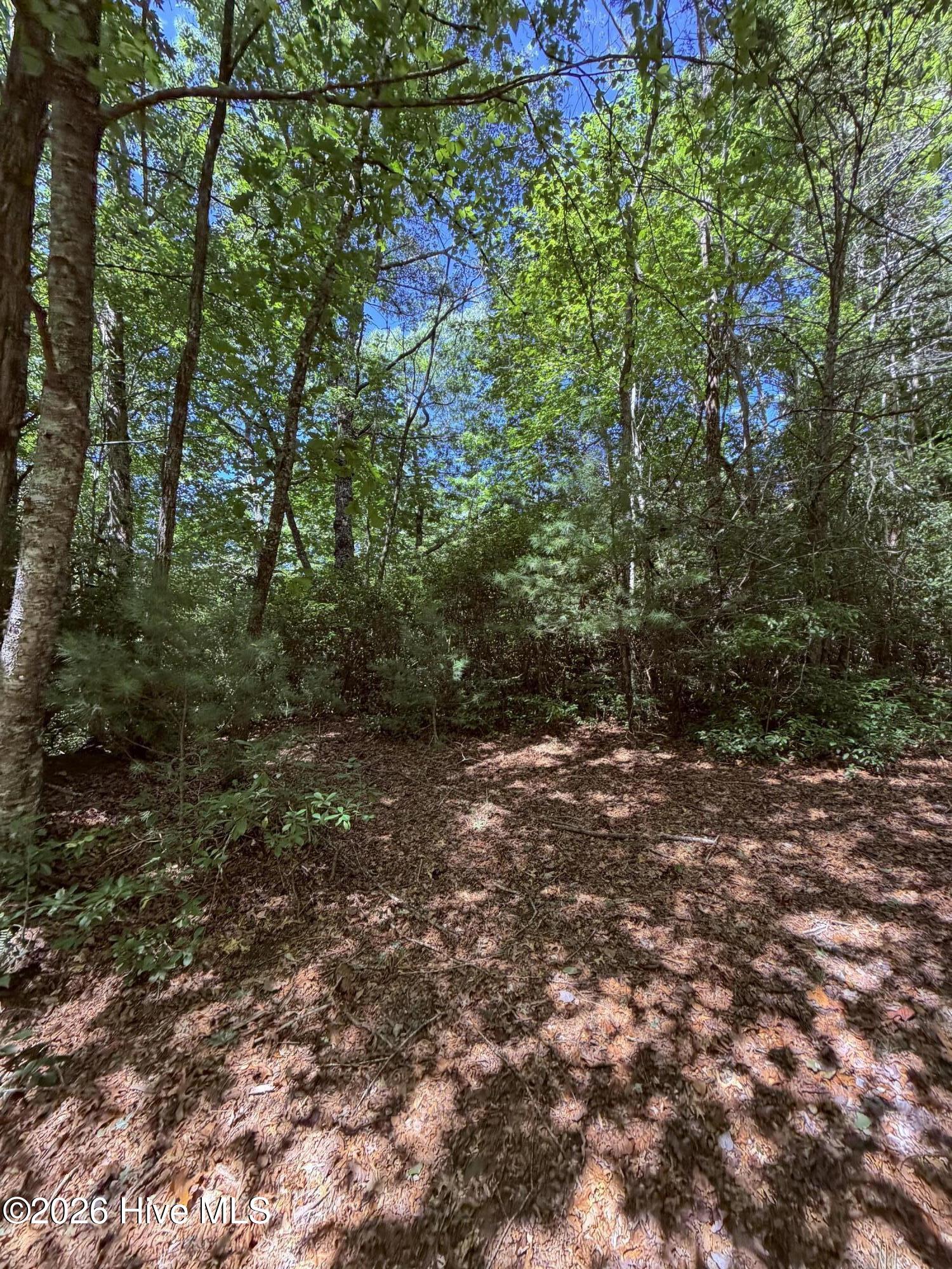 Lot 12 Holly Ridge Drive Property Photo 1
