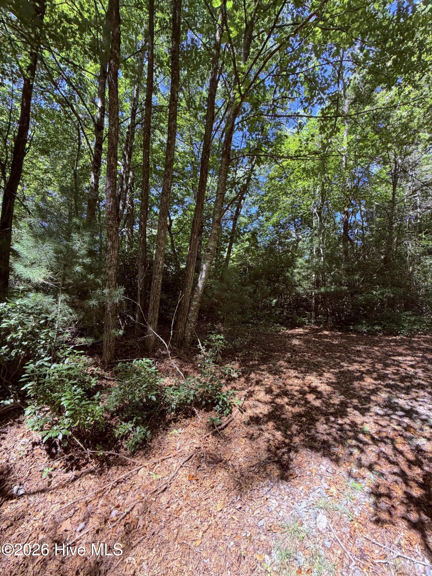 Lot 12 Holly Ridge Drive Property Photo 2