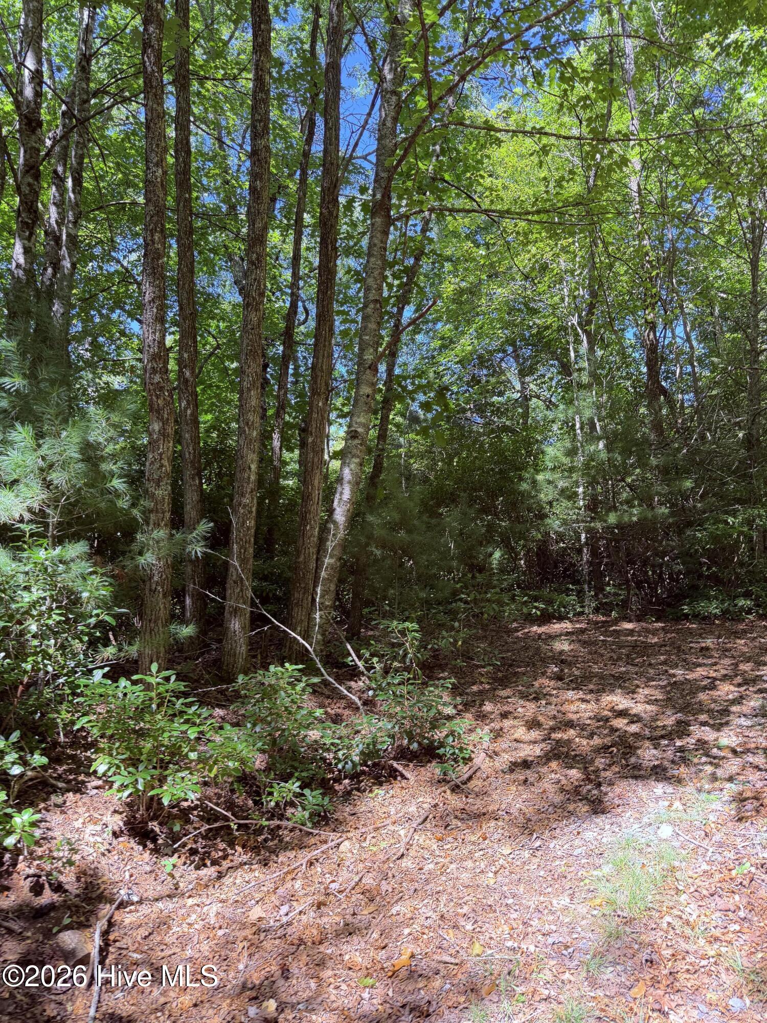 Lot 12 Holly Ridge Drive Property Photo 3