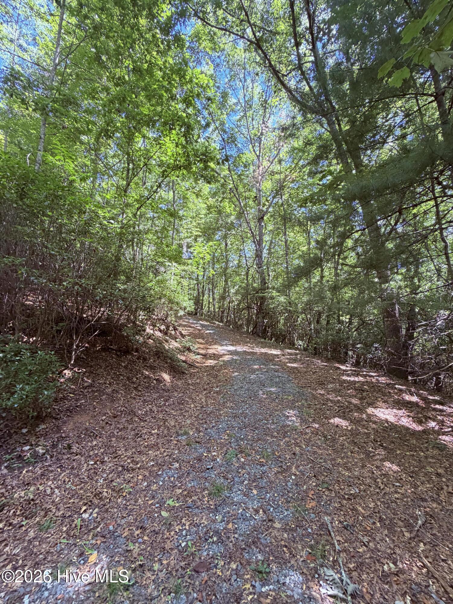 Lot 12 Holly Ridge Drive Property Photo 4