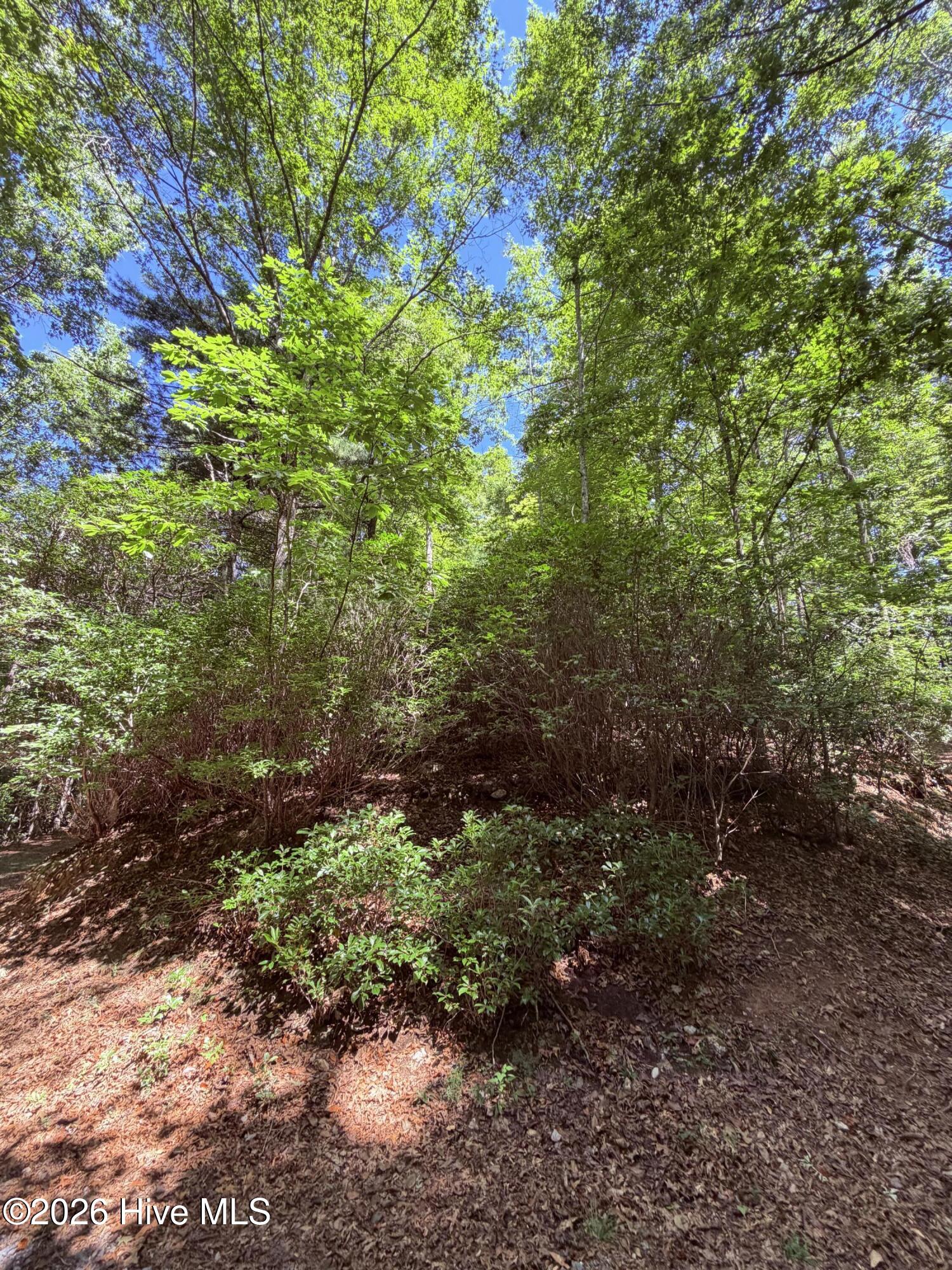 Lot 12 Holly Ridge Drive Property Photo 5