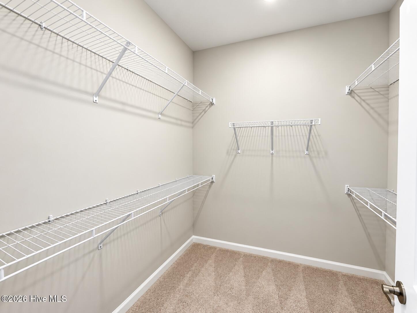3046 False Fox Loop Property Photo 7