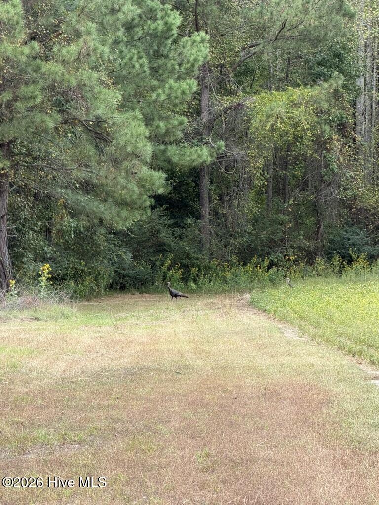 1708 Nc-45 Property Photo 50