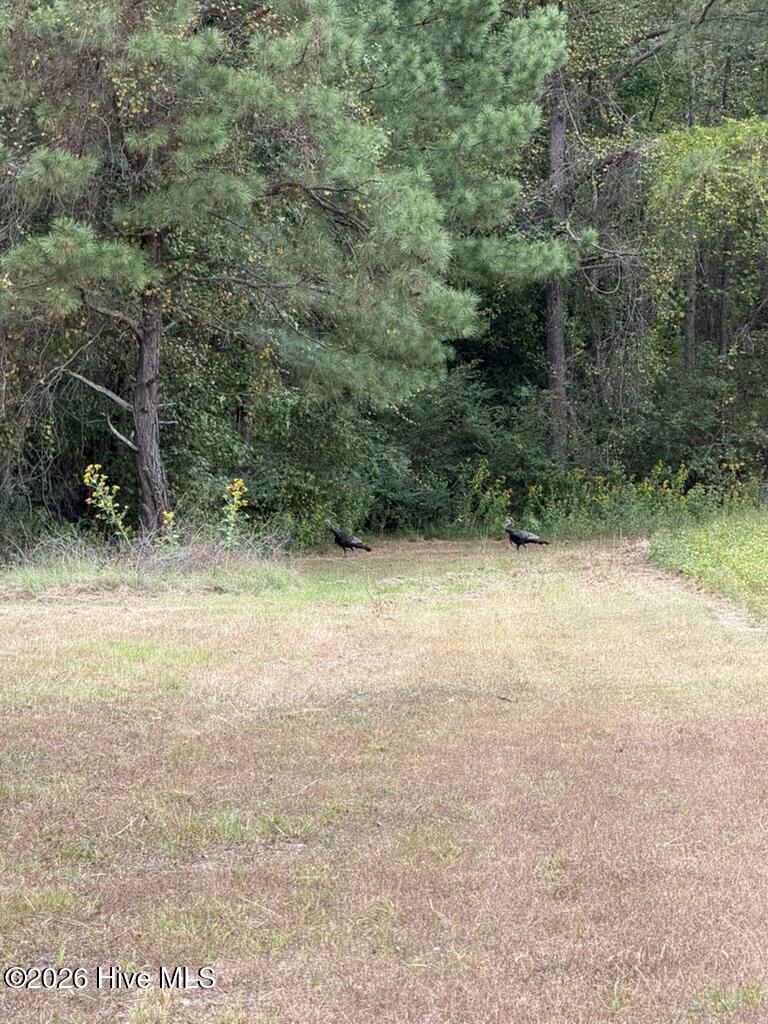1708 Nc-45 Property Photo 51