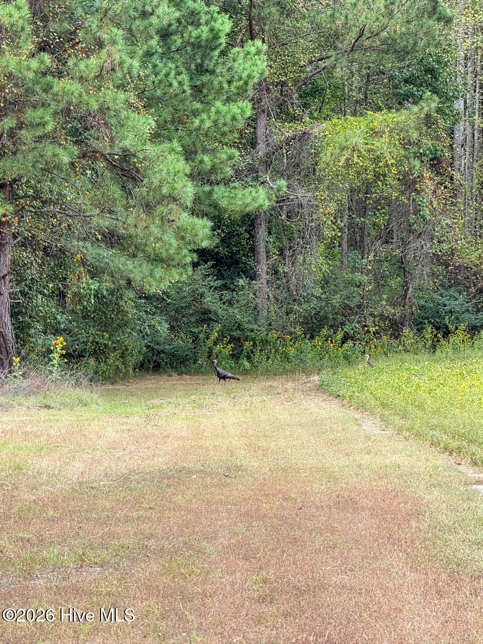 1708 Nc Highway 45 Property Photo 50