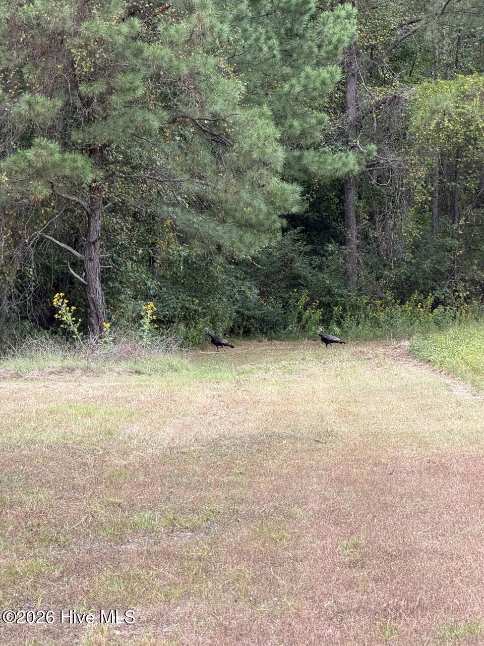 1708 Nc Highway 45 Property Photo 51