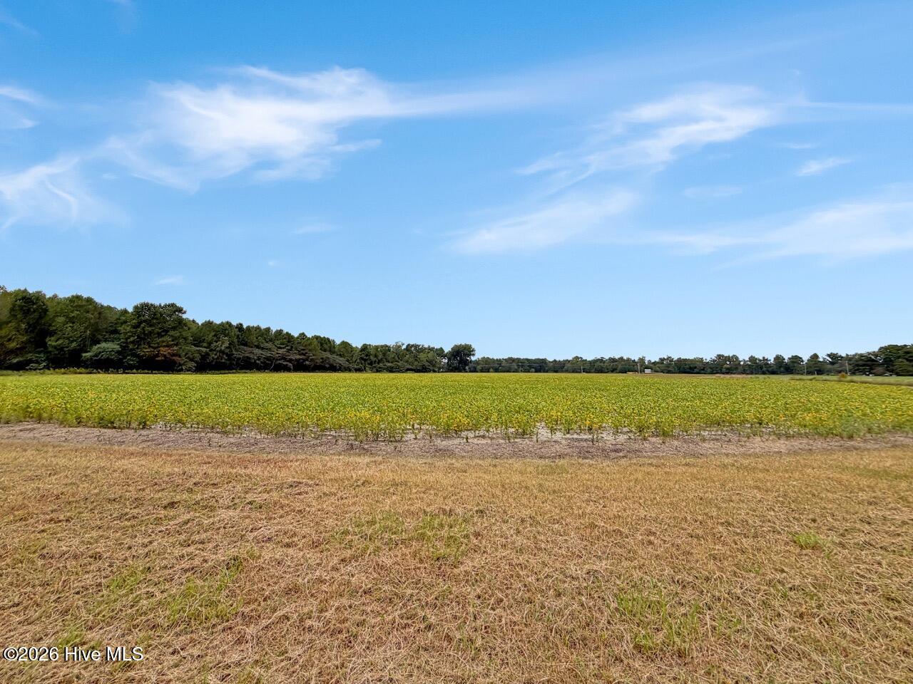 1708 Nc Highway 45 Property Photo 52