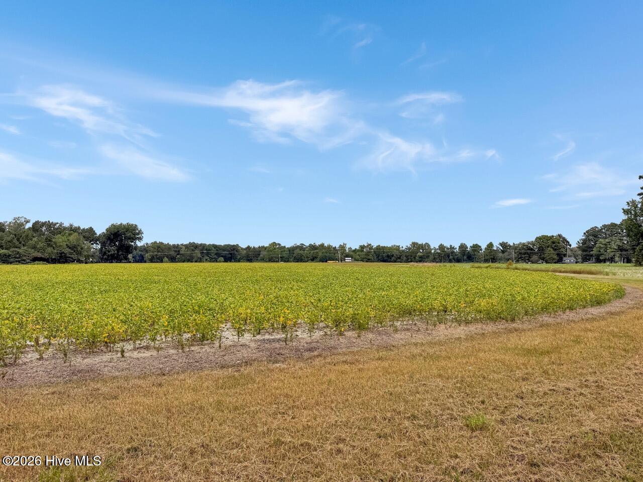 1708 Nc Highway 45 Property Photo 53