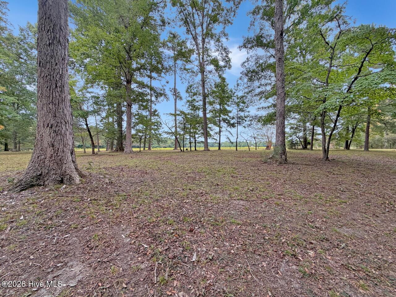 1708 Nc Highway 45 Property Photo 74
