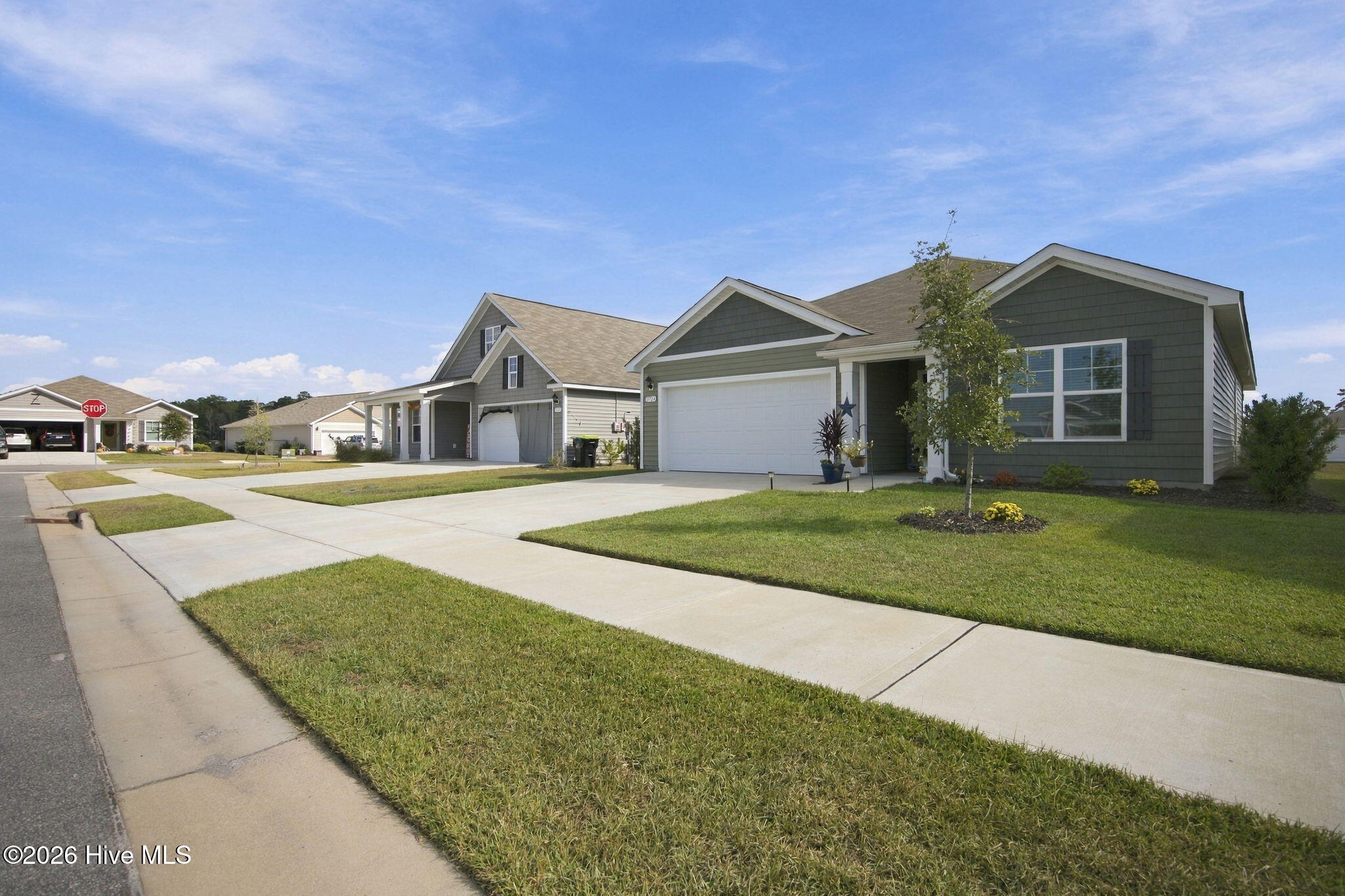 3724 Bumble Bee Drive Property Photo 29