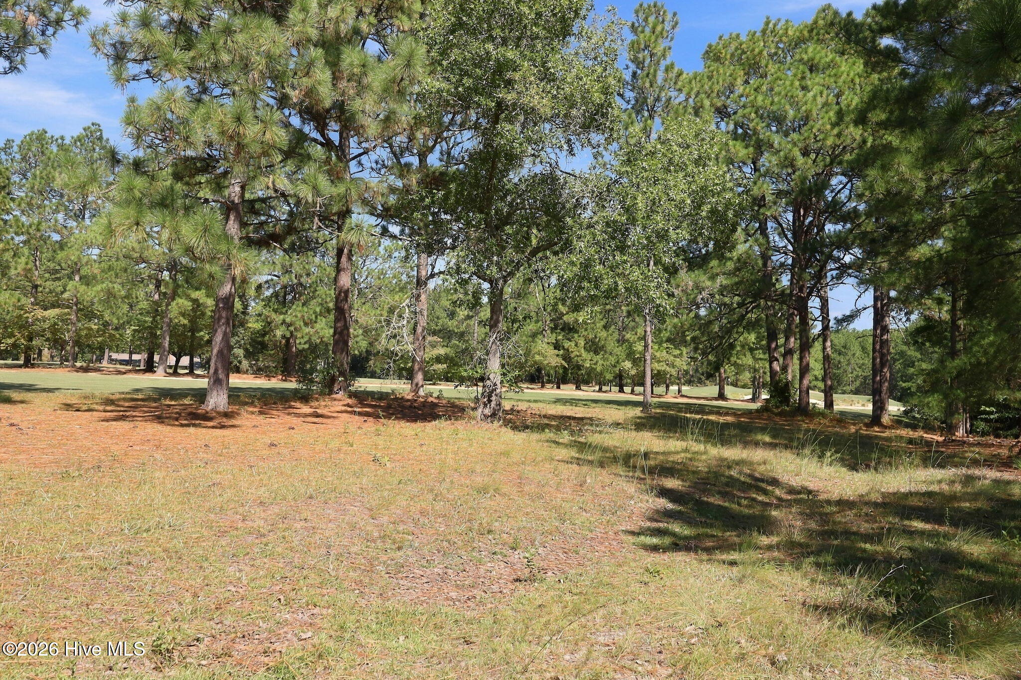 6 Wisteria Way Property Photo 40