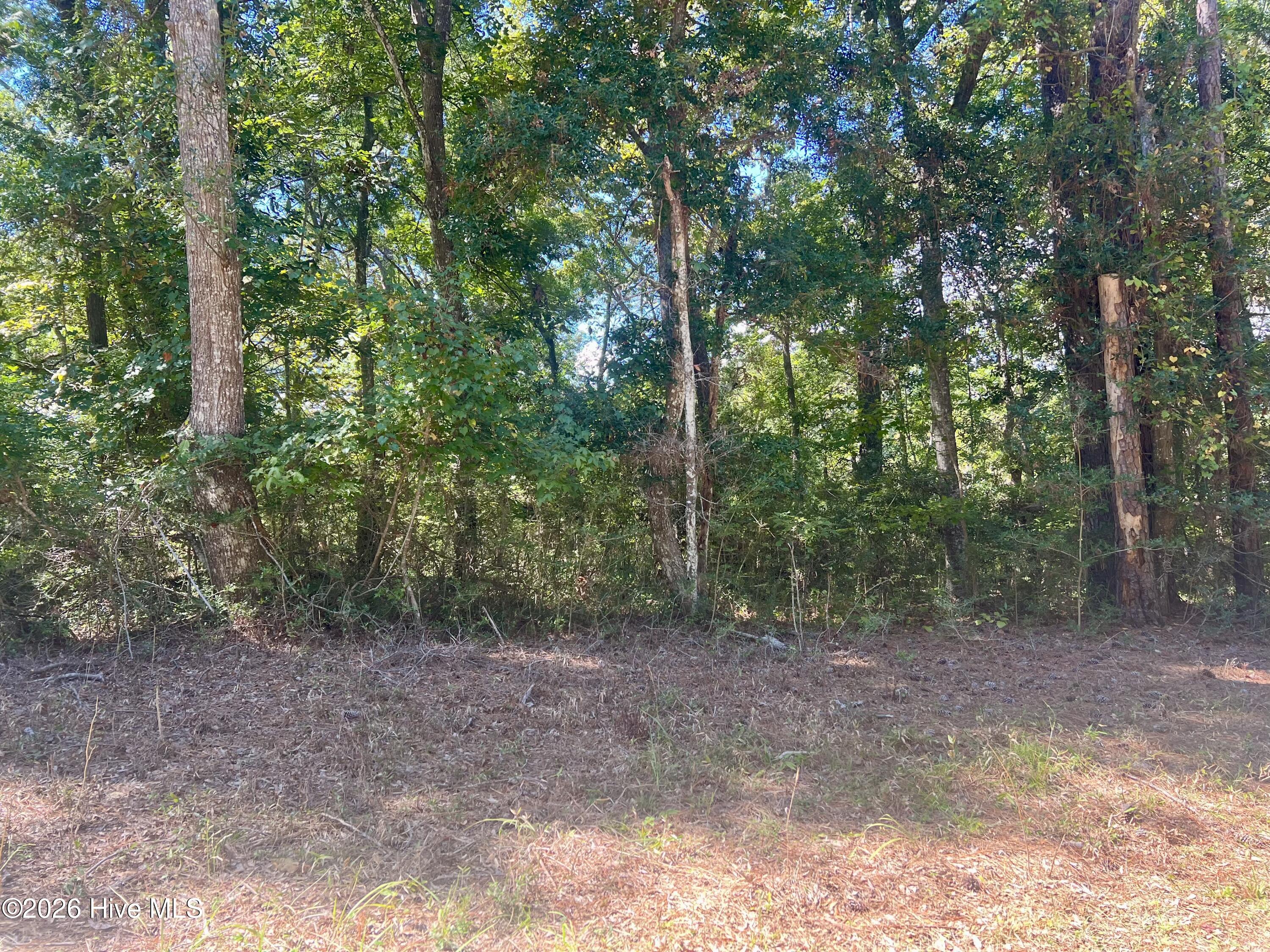 631 Sea Hawk Drive Sw Property Photo 2