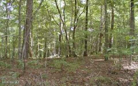 53 Panda Lane Property Photo 1