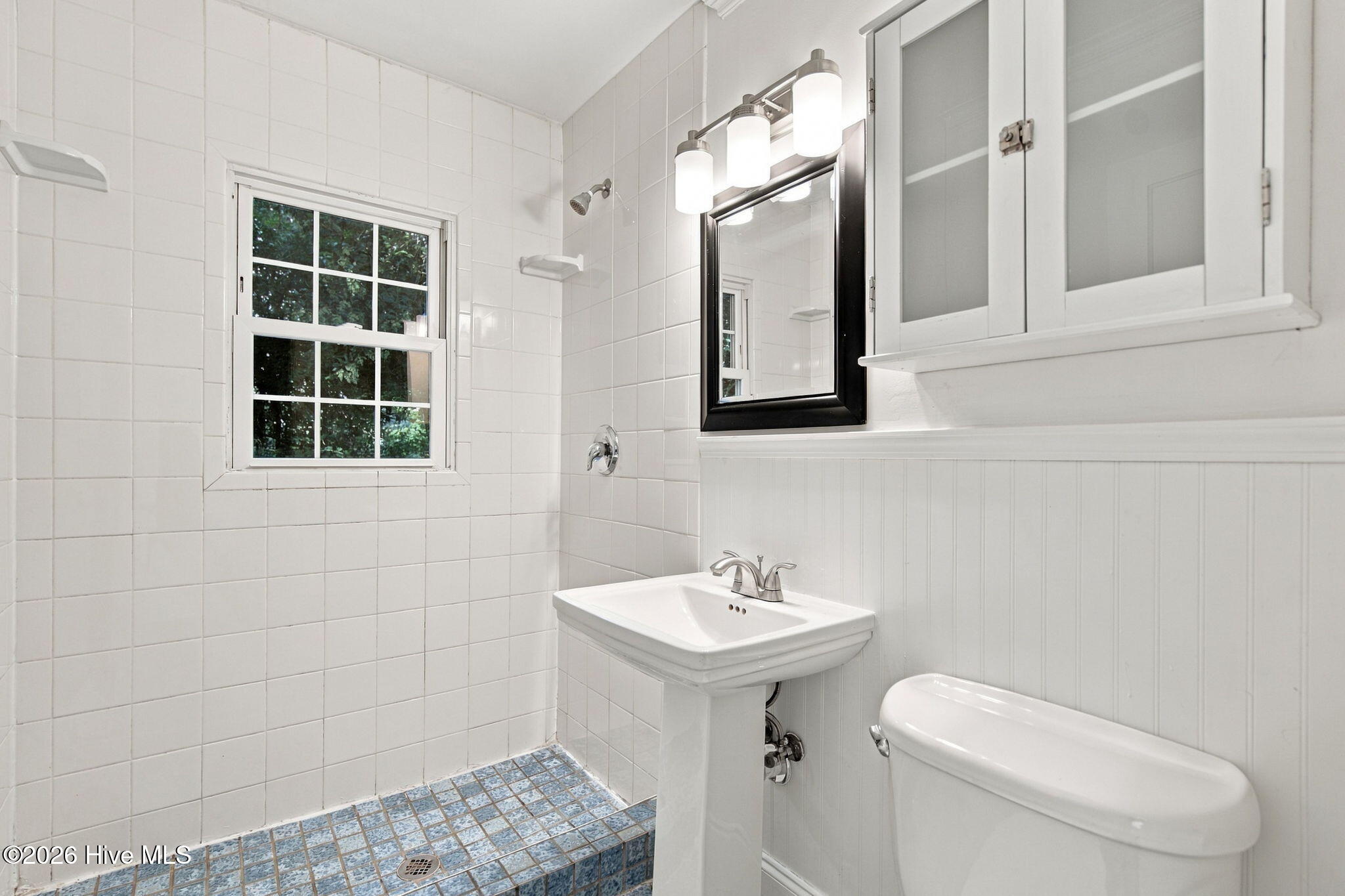 805 Rosemont Avenue Property Photo 28