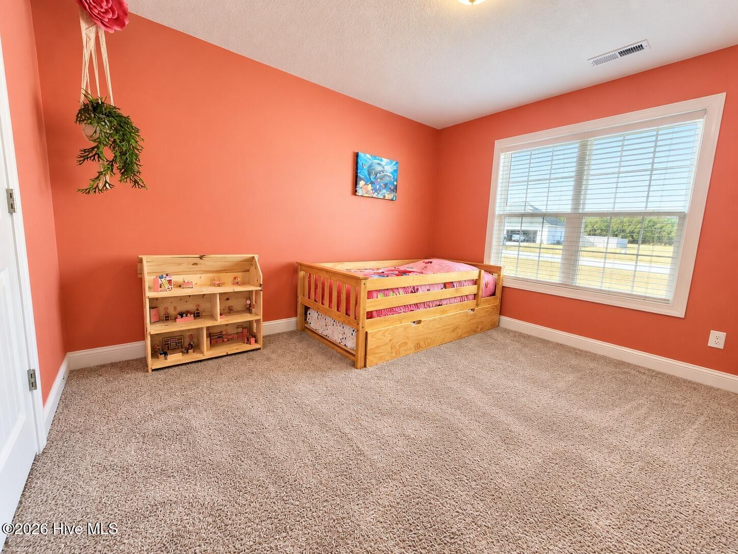 110 Village Creek Drive Property Photo 20