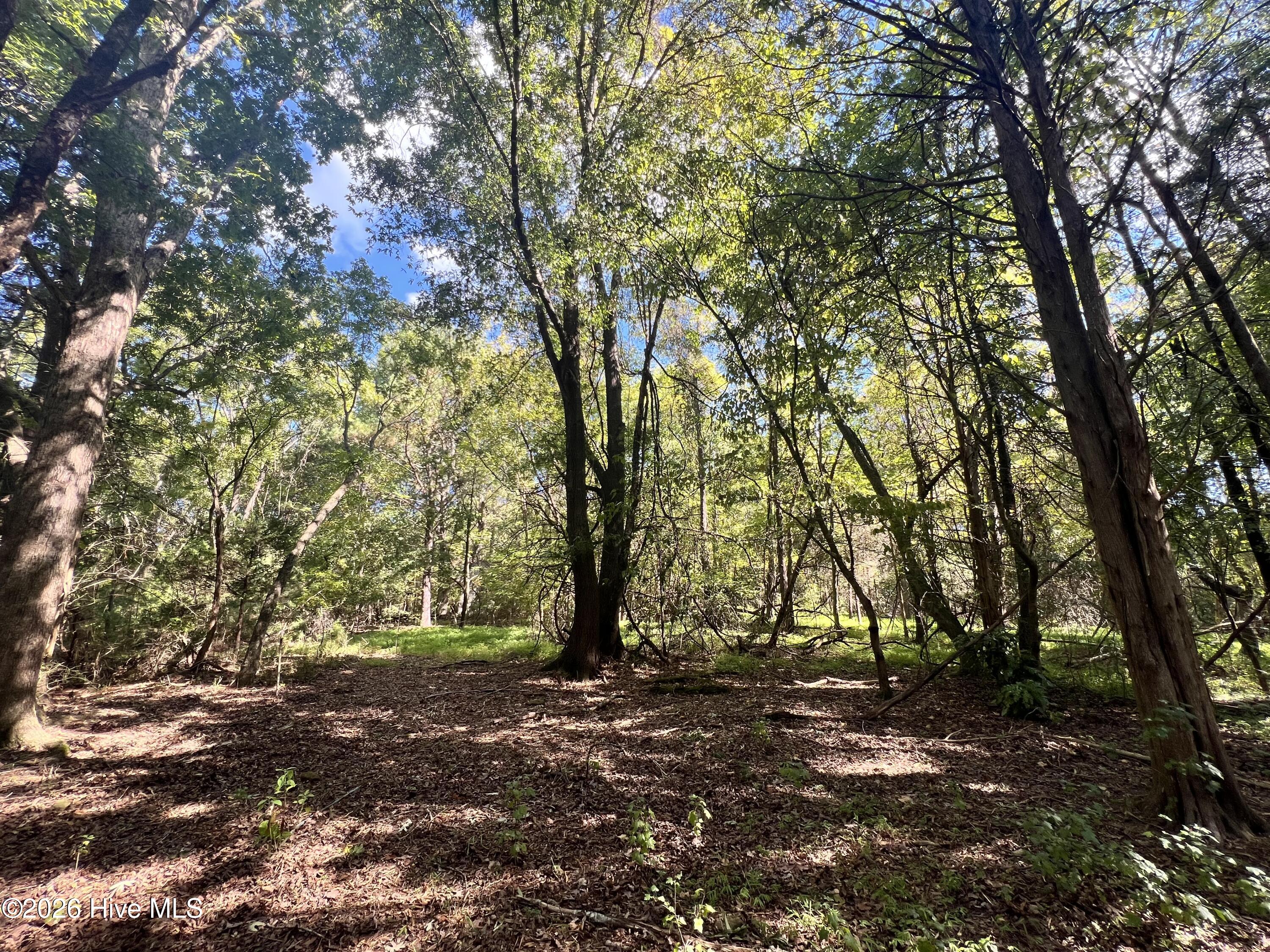 Lot 5 5 Coleman Loop Road Property Photo 2