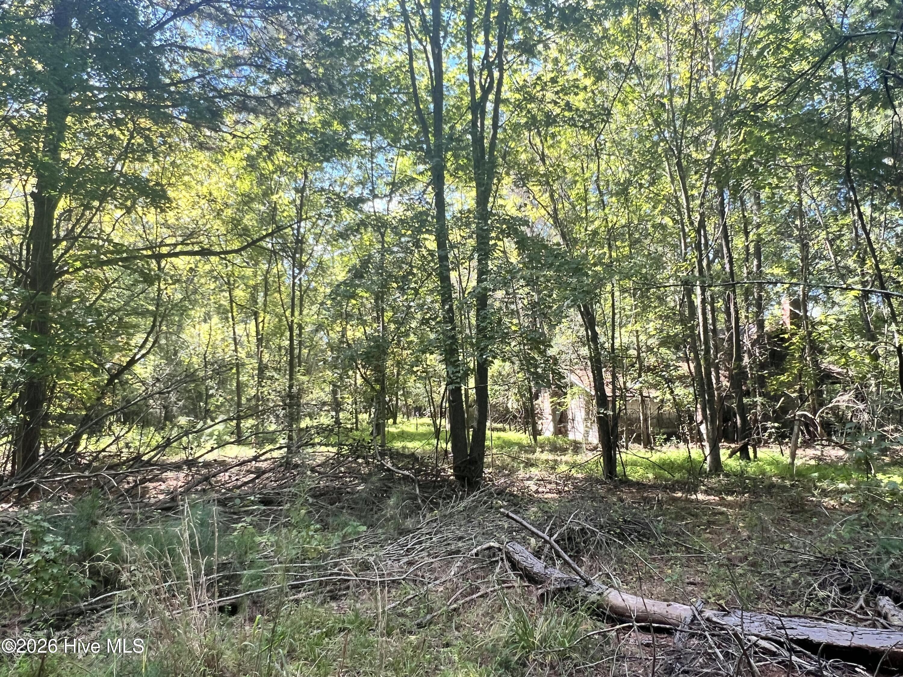 Lot 5 5 Coleman Loop Road Property Photo 4