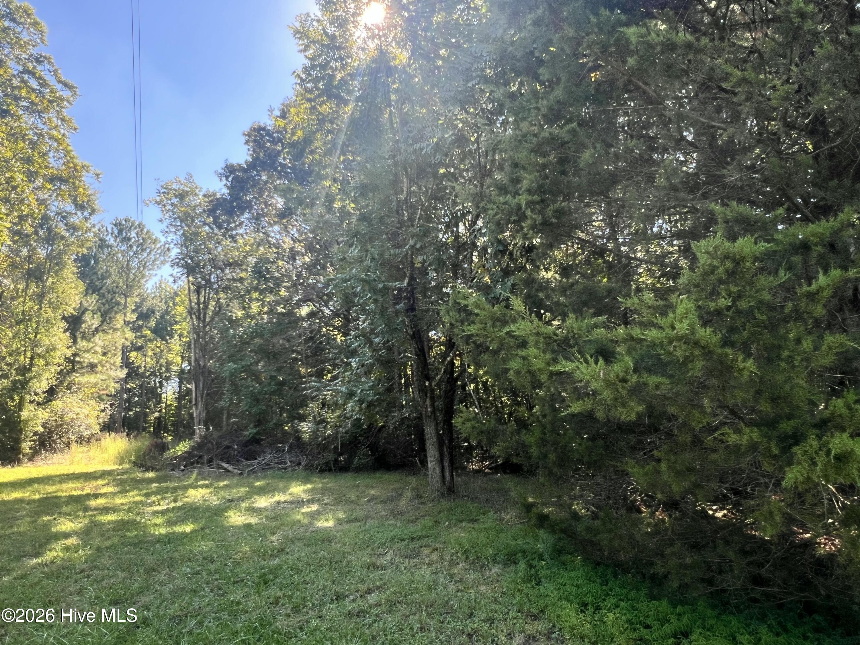 Lot 5 5 Coleman Loop Road Property Photo 6