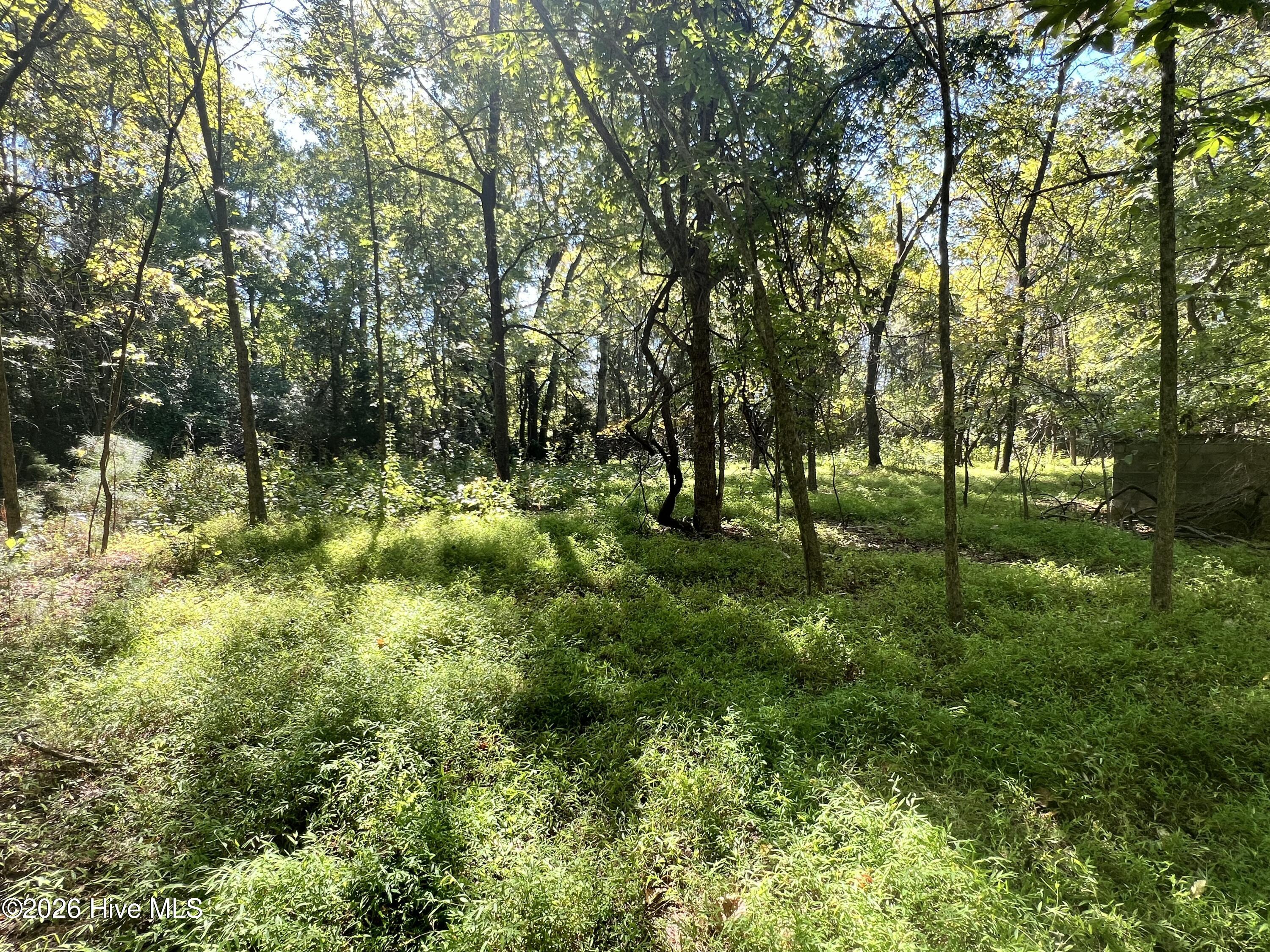 Lot 5 5 Coleman Loop Road Property Photo 10
