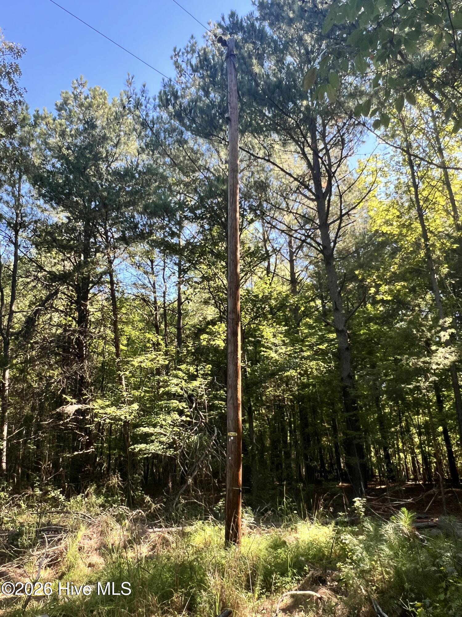 Lot 5 5 Coleman Loop Road Property Photo 11