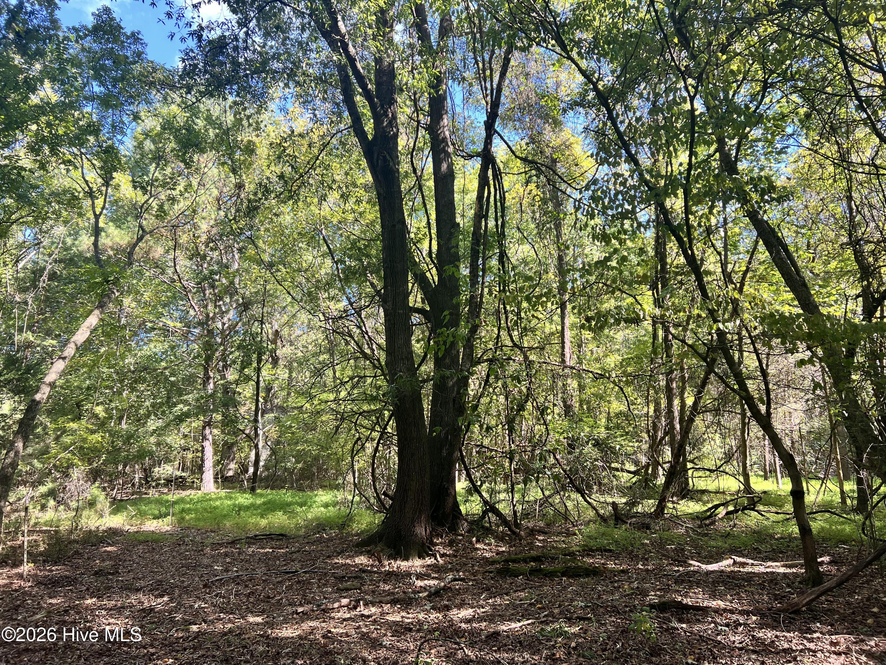 Lot 5 5 Coleman Loop Road Property Photo 12