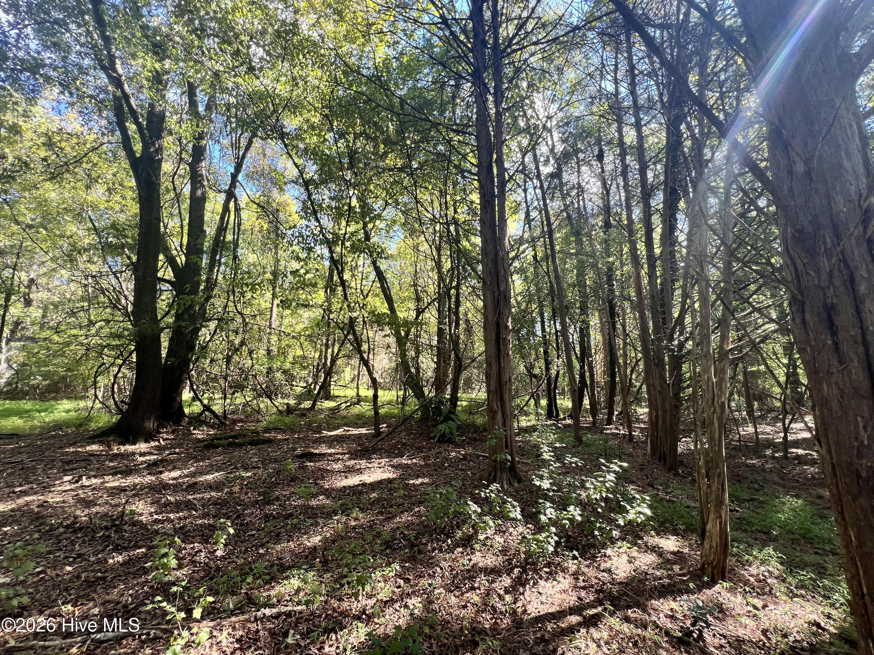 Lot 5 5 Coleman Loop Road Property Photo 13