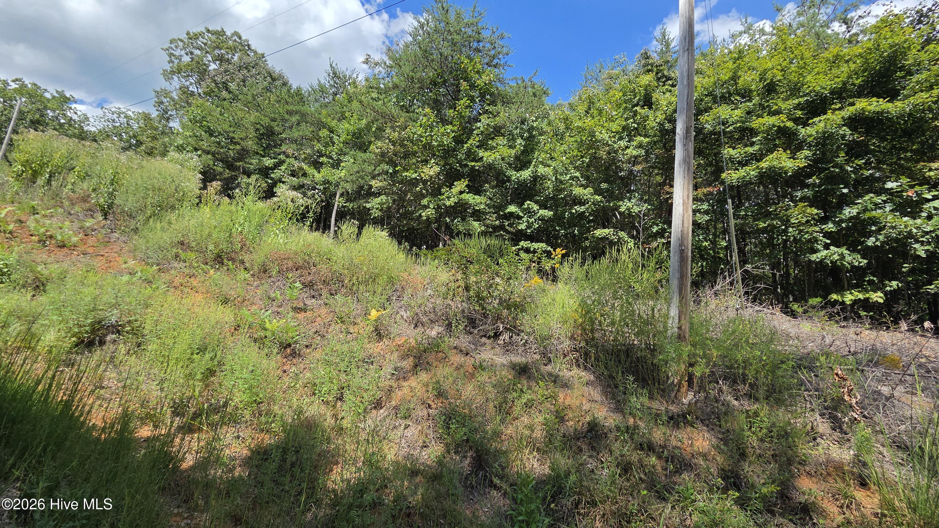 Lot 9 9 Wolf Ridge Lane Property Photo 1