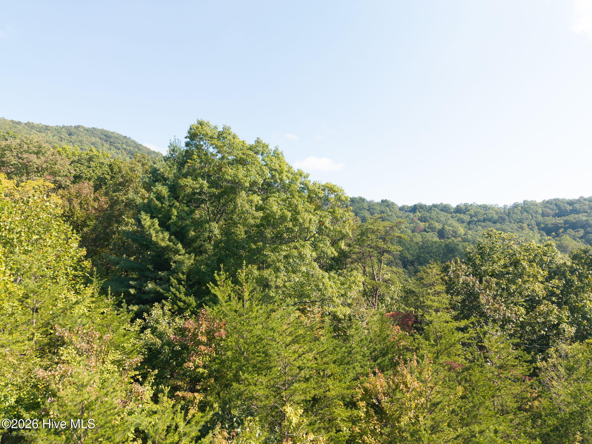 Lot 9 9 Wolf Ridge Lane Property Photo 4