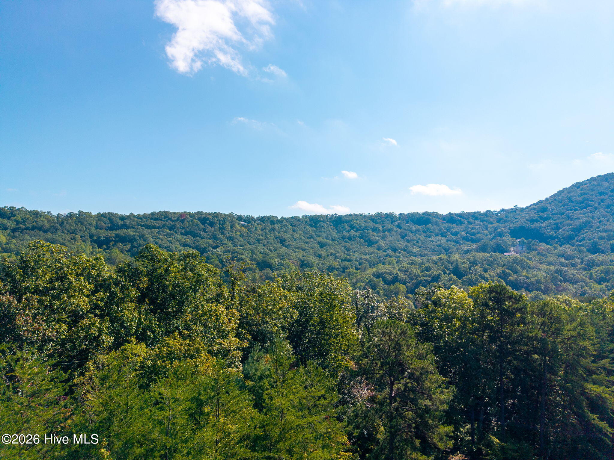Lot 9 9 Wolf Ridge Lane Property Photo 6