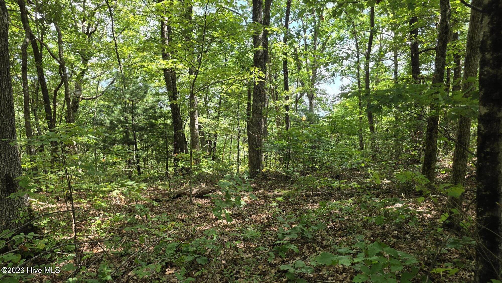 Lot 17 Outlook Road Property Photo 1