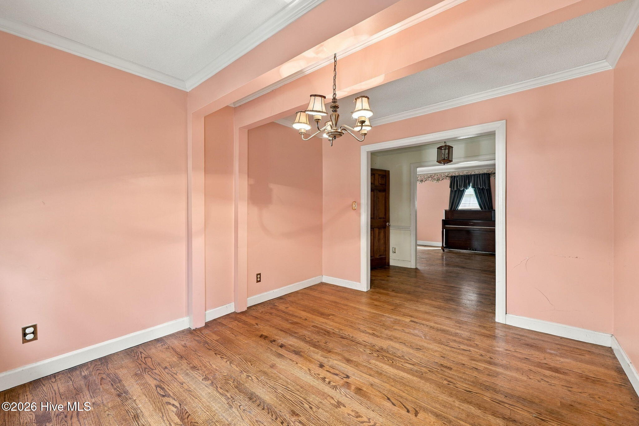 507 Eleanor Street Property Photo 12