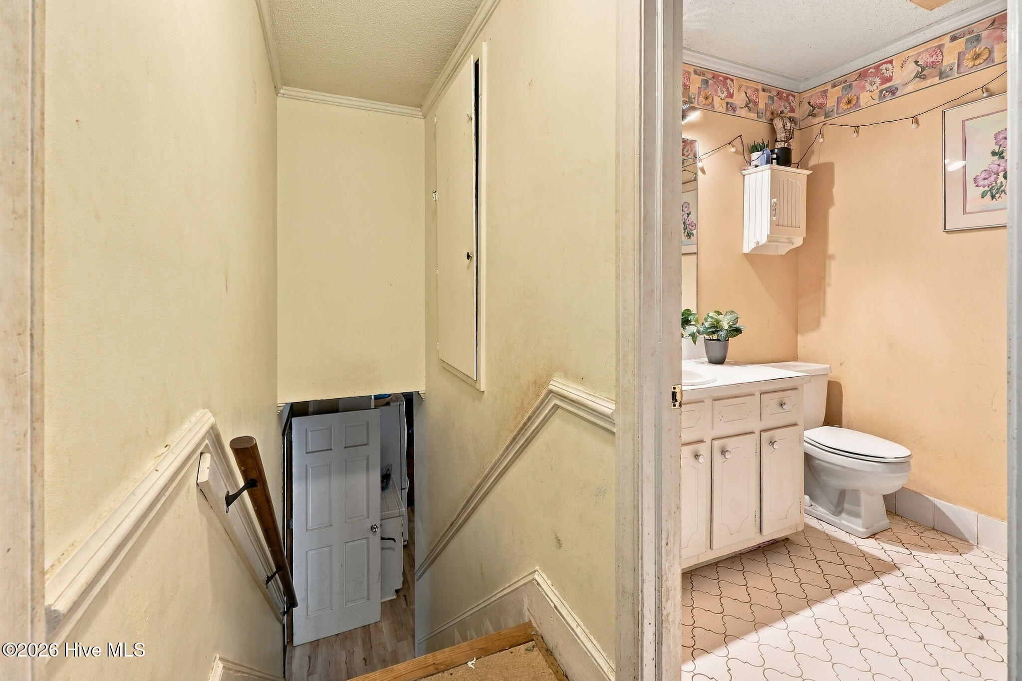 507 Eleanor Street Property Photo 27
