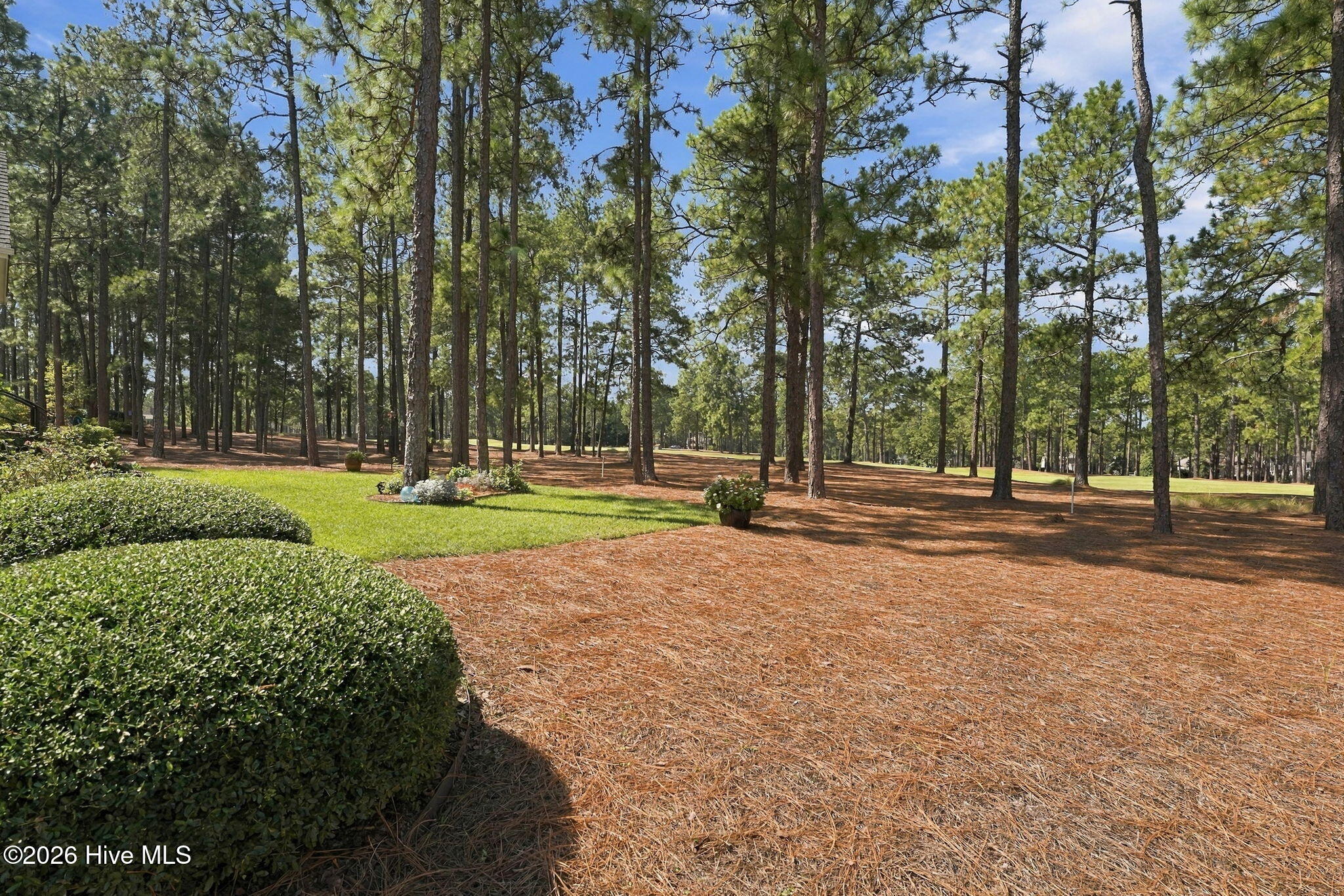 34 Plantation Drive Property Photo 41